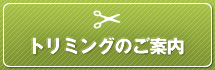 八尾市 塩田動物病院のトリミングのご案内